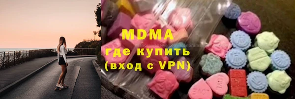 молекула духа Богданович